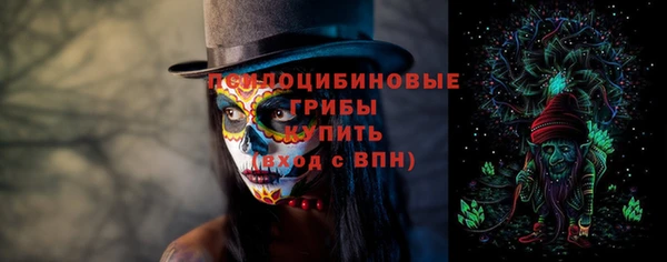 стаф Беломорск