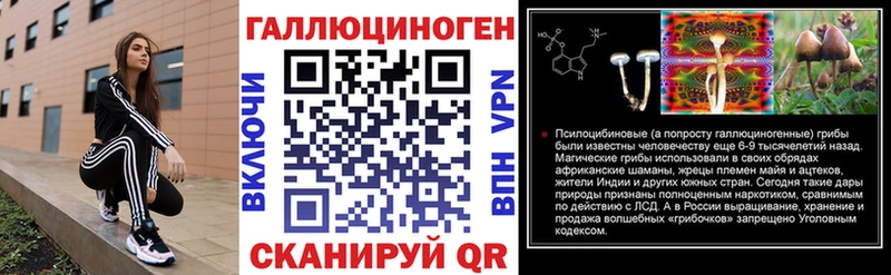 где продают   Высоковск  Галлюциногенные грибы Psilocybine cubensis 